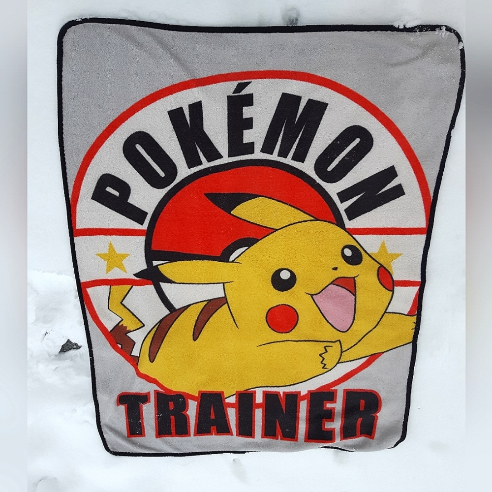 Pokemon Throw - Picture 2 of 8